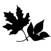 检查炉为碎片